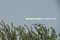 大阪国際空港（伊丹空港）：JA846C着陸シーン。強風でバウンドして着陸。