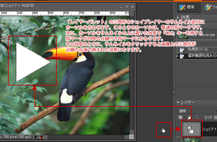 Photoshop Elements（フォトショップエレメンツ）-多角形選択ツール
