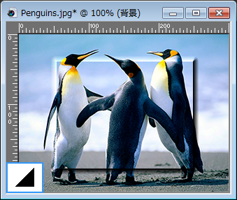 ベベル（外側）・縁取り（外側）