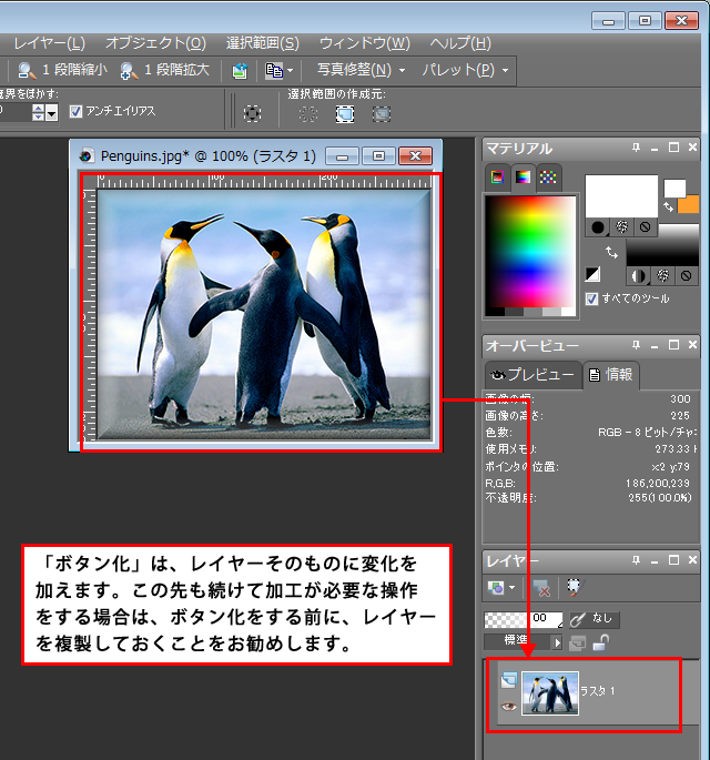 Paint Shop Pro Photo（ペイントショッププロ）－「効果」→「3D効果」→「ボタン化」の説明3