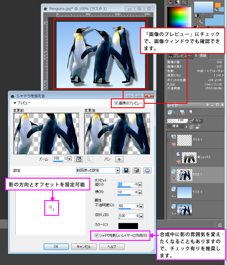 Paint Shop Pro Photo(ペイントショッププロ)-「効果」→「3D効果」→「シャドウを加える」の説明3