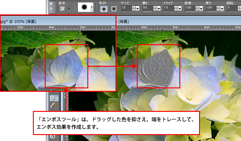 Paint Shop Pro Photo（ペイントショッププロ）－エンボス2