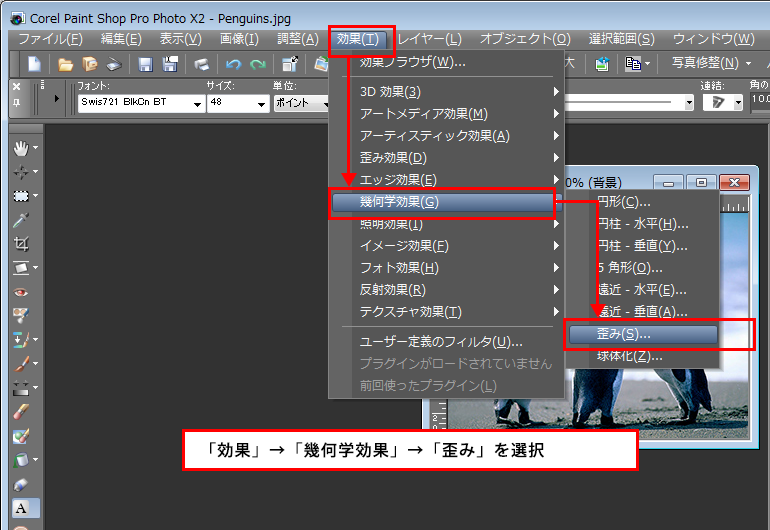 Paint Shop Pro Photo（ペイントショッププロ）－「効果」→「幾何学効果」→「歪み」の説明。1