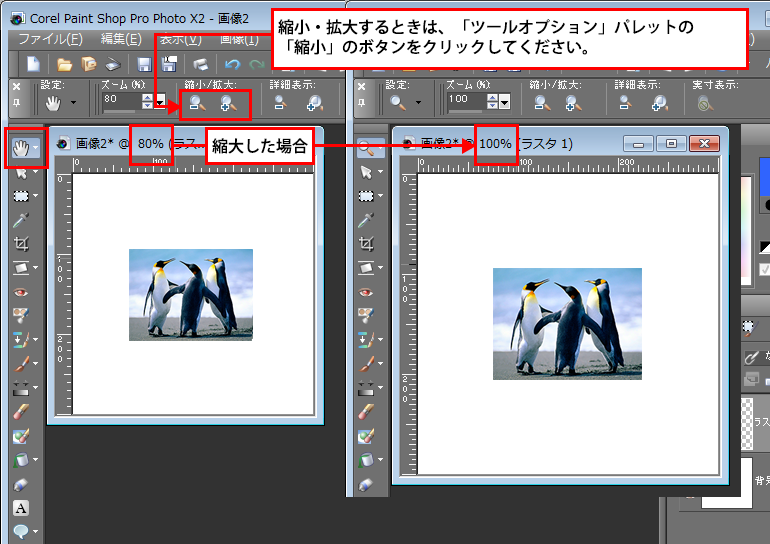 Paint Shop Pro Photo（ペイントショッププロ）－Paint Shop Pro Photo（ペイントショッププロ）－パンツールの「ツールオプション」パレット1