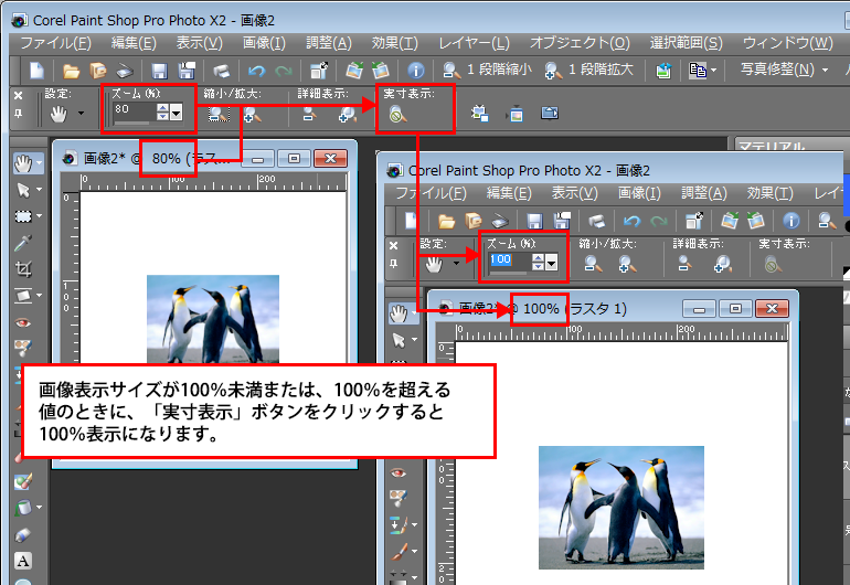 Paint Shop Pro Photo（ペイントショッププロ）－Paint Shop Pro Photo（ペイントショッププロ）－パンツールの「ツールオプション」パレット2