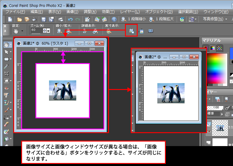 Paint Shop Pro Photo（ペイントショッププロ）－Paint Shop Pro Photo（ペイントショッププロ）－パンツールの「ツールオプション」パレット3