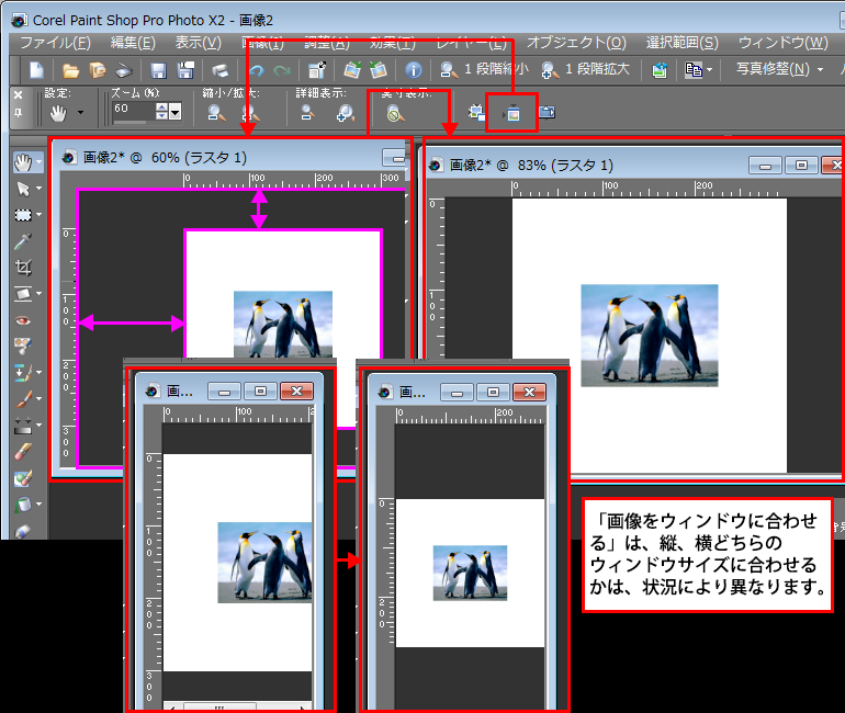 Paint Shop Pro Photo（ペイントショッププロ）－Paint Shop Pro Photo（ペイントショッププロ）－パンツールの「ツールオプション」パレット3