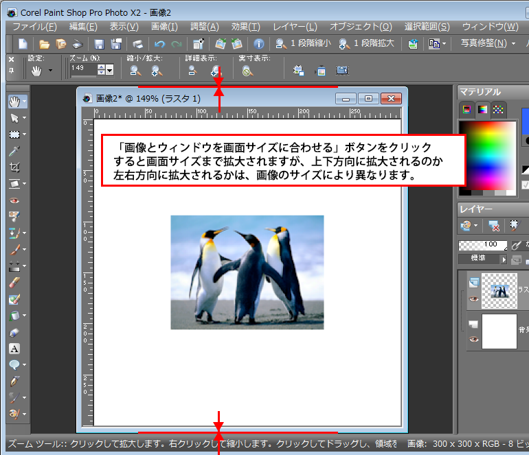 Paint Shop Pro Photo（ペイントショッププロ）－Paint Shop Pro Photo（ペイントショッププロ）－パンツールの「ツールオプション」パレット6