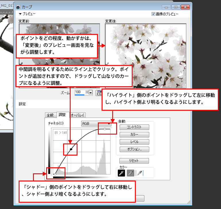 Paint Shop Pro Photo（ペイントショッププロ）－「効果」→桜の画像補正3