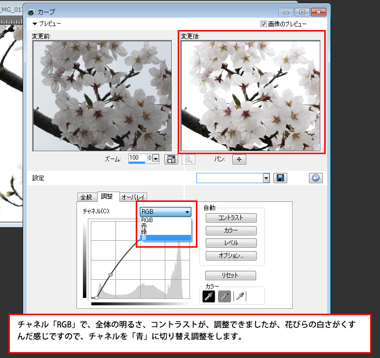 Paint Shop Pro Photo（ペイントショッププロ）－「効果」→桜の画像補正4