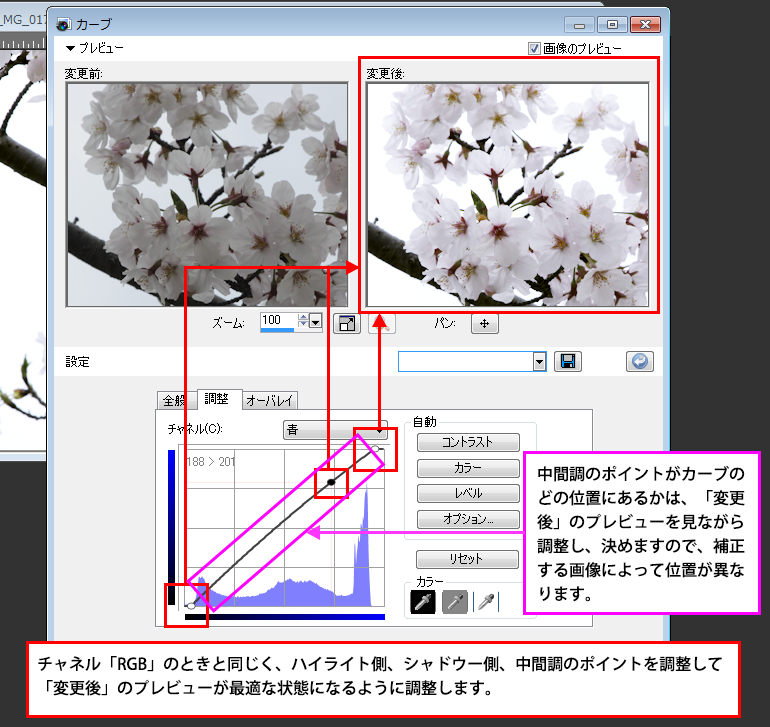 Paint Shop Pro Photo（ペイントショッププロ）－「効果」→桜の画像補正5