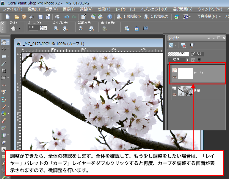 Paint Shop Pro Photo（ペイントショッププロ）－「効果」→桜の画像補正6