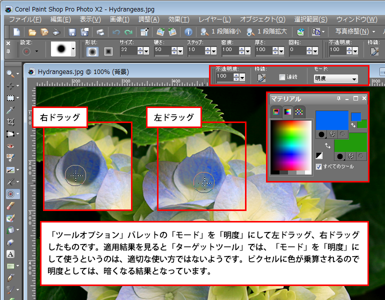 Paint Shop Pro Photo（ペイントショッププロ）－ターゲットツール2