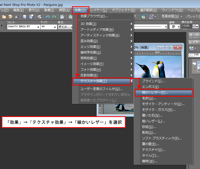 Paint Shop Pro Photo（ペイントショッププロ）－「効果」→「テクスチャ効果」→「細かいレザー」の説明。1