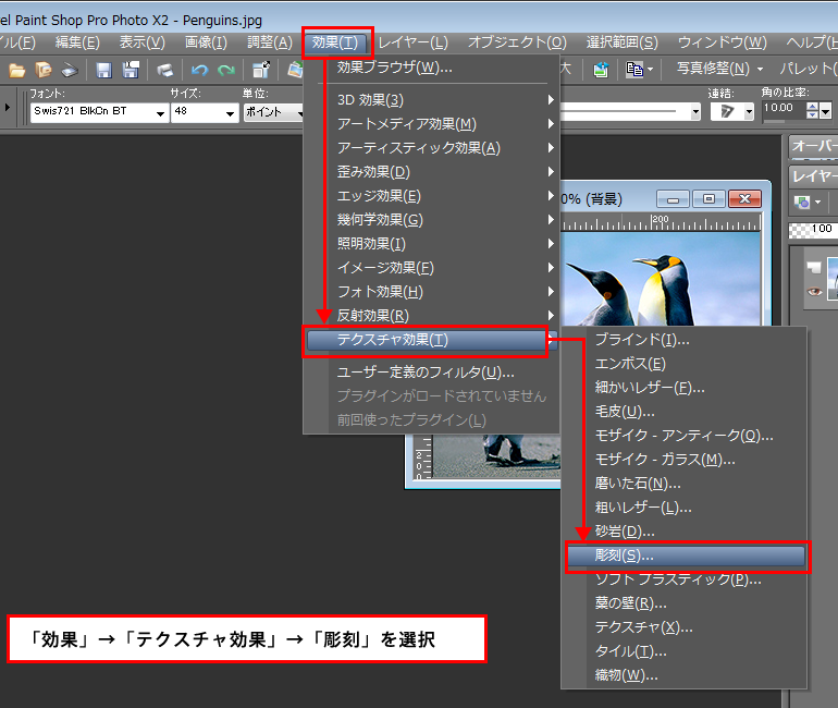 Paint Shop Pro Photo（ペイントショッププロ）－「効果」→「テクスチャ効果」→「彫刻」の説明。1
