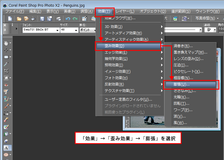 Paint Shop Pro Photo（ペイントショッププロ）－「効果」→「歪み効果」→「膨張」の説明。1
