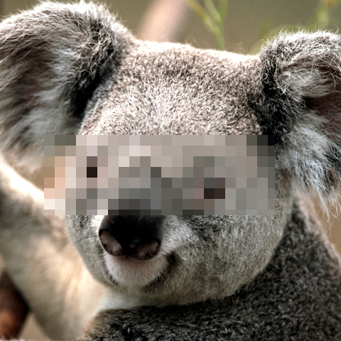 「ピクセレート」（モザイク）