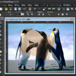 画像の一部にだけ効果を適用する方法（選択範囲を回転させてその部分にのみ効果を適用）