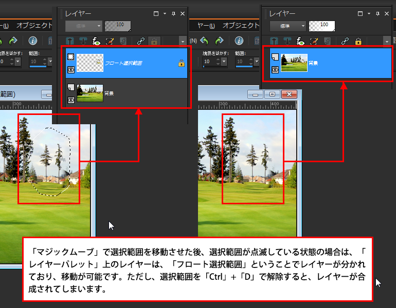 Paint Shop Pro Photo（ペイントショッププロ）－「マジックムーブ」3
