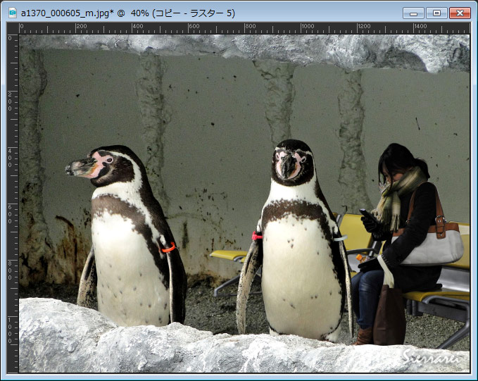 駅のベンチでスマホを見ている女性とペンギンを合成