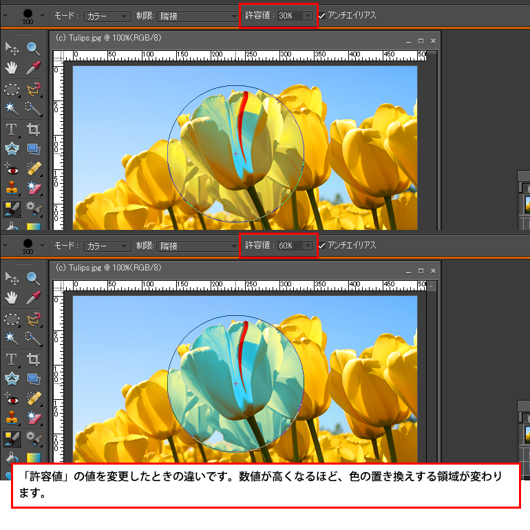 Photoshop Elements（フォトショップエレメンツ）-色の置き換えツール