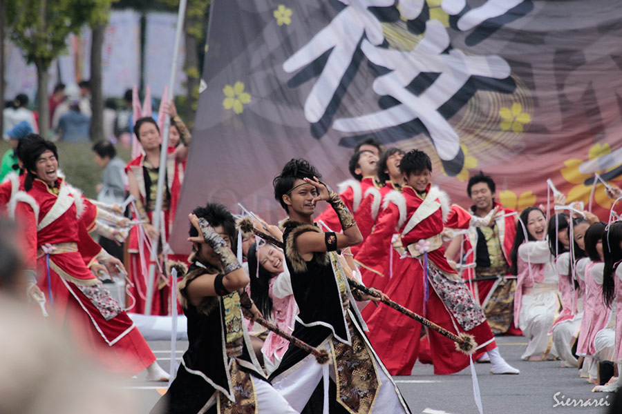 よさこい炎舞連『神陽～sin～』