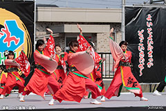 渡衆　～七番隊～扇傘