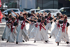 うらじゃ連我矢桜