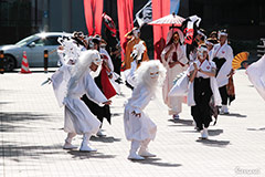 子鳩子兎 横浜百姫隊