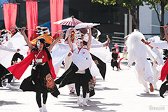 子鳩子兎 横浜百姫隊