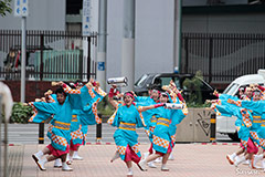 青ノ春　（活動地域：高知県高知市）