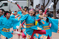 青ノ春　（活動地域：高知県高知市）
