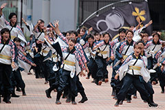 神戸大学よさこいチーム山美鼓　（活動地域：兵庫県神戸市）