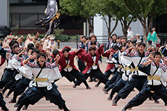神戸大学よさこいチーム山美鼓　（活動地域：兵庫県神戸市）