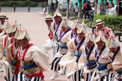 夢舞隊　（活動地域：大阪府貝塚市）