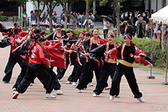 甲南女子大学 KEEP SMILING よさこい部　（活動地域：兵庫県神戸市東灘区）