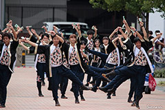よさこいチーム炎～ほむら～　（活動地域：高知県高知市）