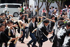 よさこいチーム炎～ほむら～　（活動地域：高知県高知市）