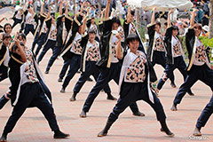 よさこいチーム炎～ほむら～　（活動地域：高知県高知市）